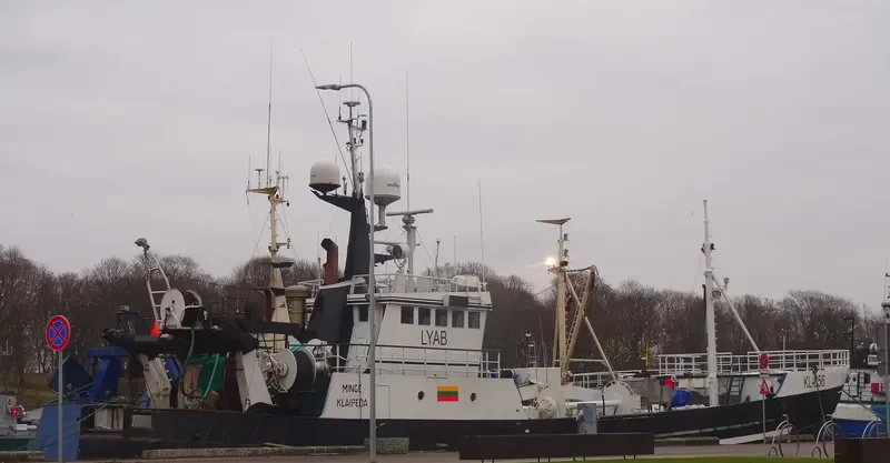 MINGE General Cargo IMO 6714809