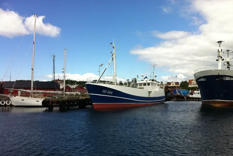 ORION General Cargo IMO 6716821 photo 2