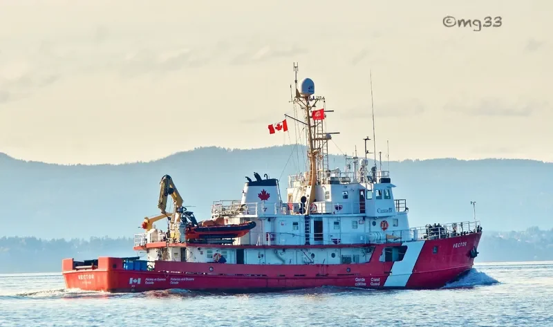 VECTOR General Cargo IMO 6717760