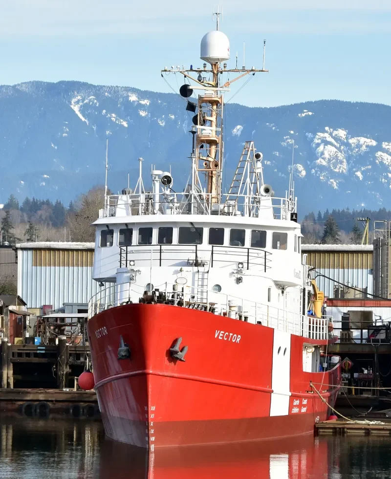 VECTOR General Cargo IMO 6717760 photo 6