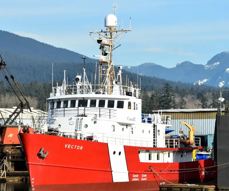 VECTOR General Cargo IMO 6717760 photo 7