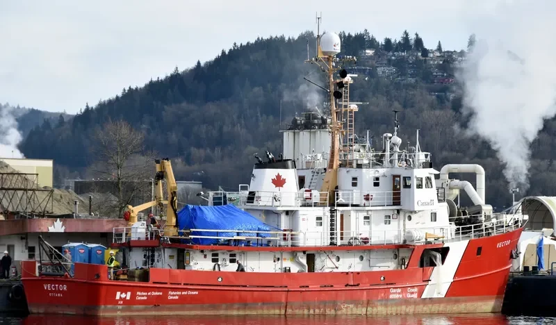 VECTOR General Cargo IMO 6717760 photo 8