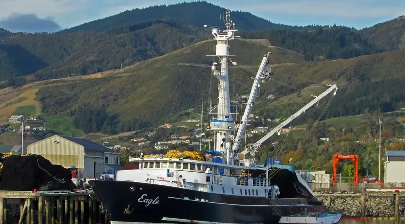 EAGLE General Cargo IMO 6717801