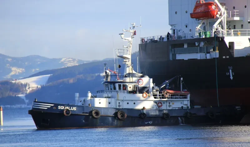 SQUALUS General Cargo IMO 6718219