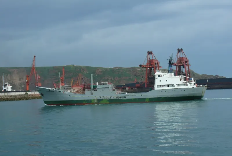 CEMENTADOR General Cargo IMO 6718908