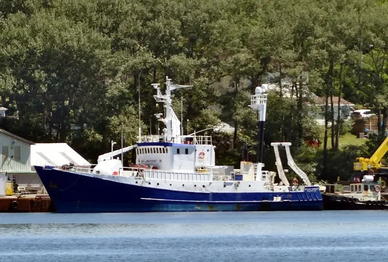 STRAIT SIGNET General Cargo IMO 6719407