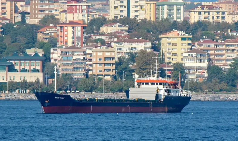 RITZA General Cargo IMO 6719756