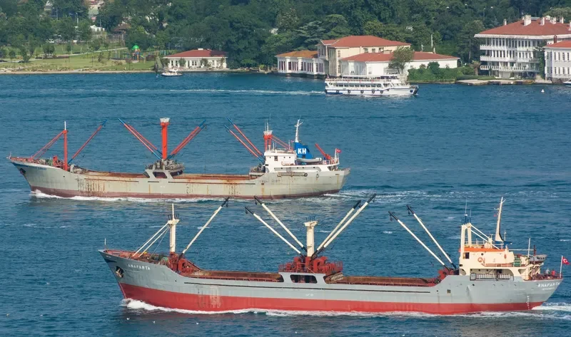 ANAFARTA General Cargo IMO 6720066 photo 3