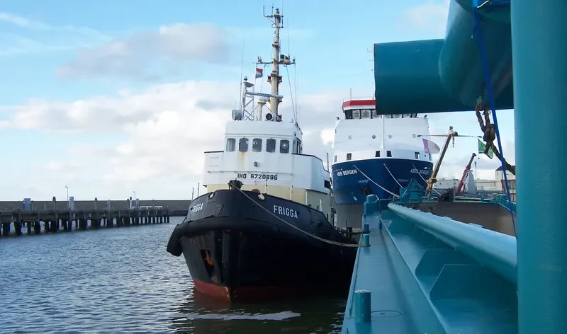 FRIGGA General Cargo IMO 6720896 photo 7