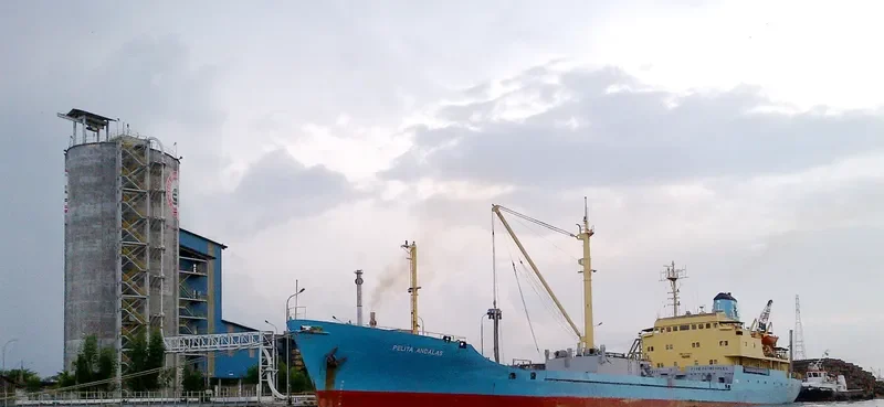 PELITA ANDALAS General Cargo IMO 6721474
