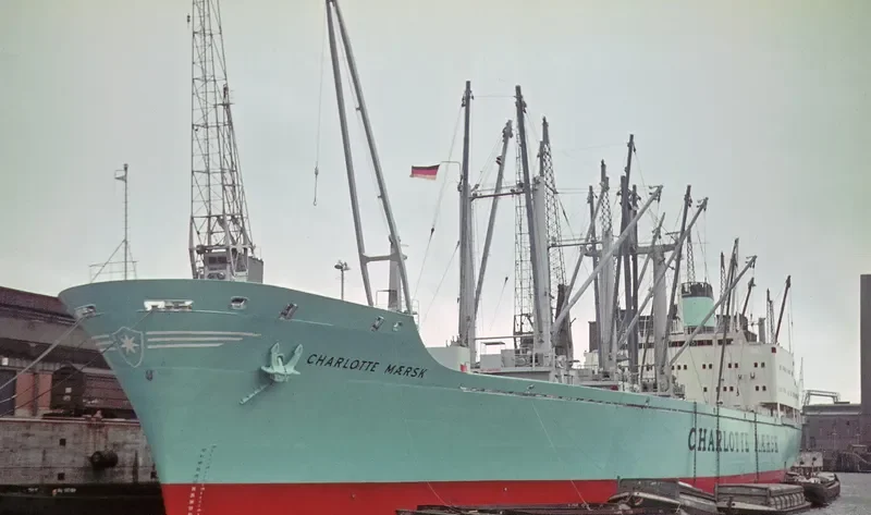 TAO HE Container Ship IMO 6723604