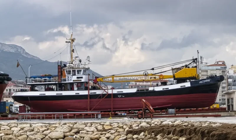 JACOMINA General Cargo IMO 6723836