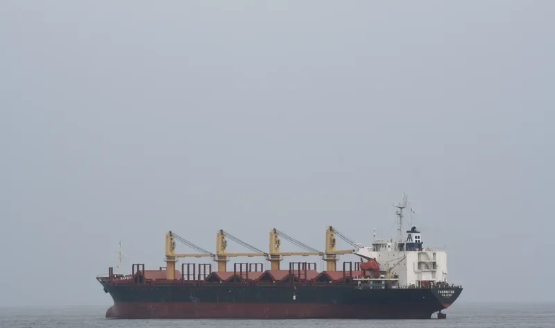 THEOMITOR Bulk Carrier IMO 6724684