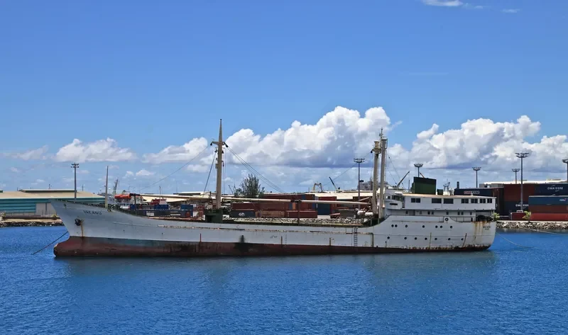 VAEANU Passenger Ship IMO 6726175 photo 5