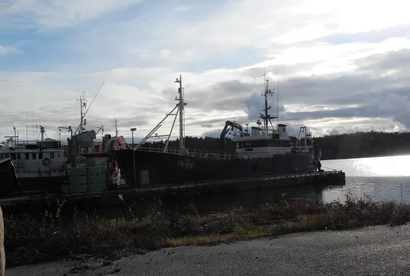 RAMUS General Cargo IMO 6726280 photo 2