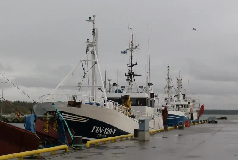 RAMUS General Cargo IMO 6726280 photo 4