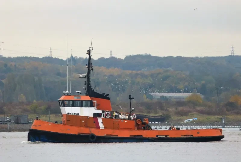 BOSS TUG General Cargo IMO 6726852
