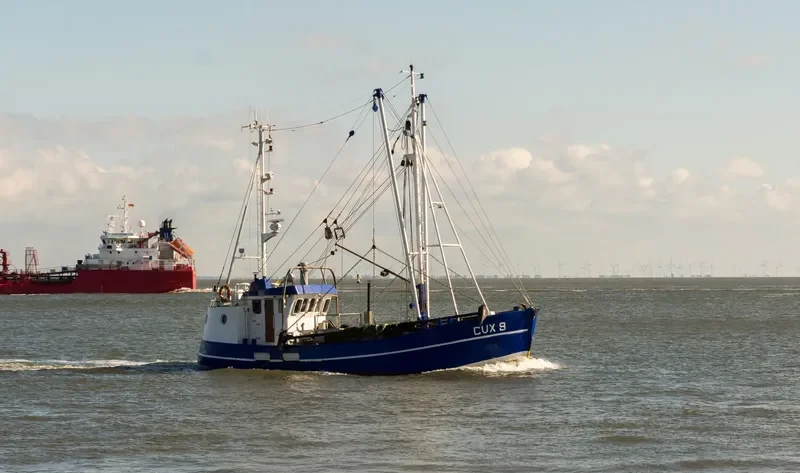 RAMONA General Cargo IMO 6727466
