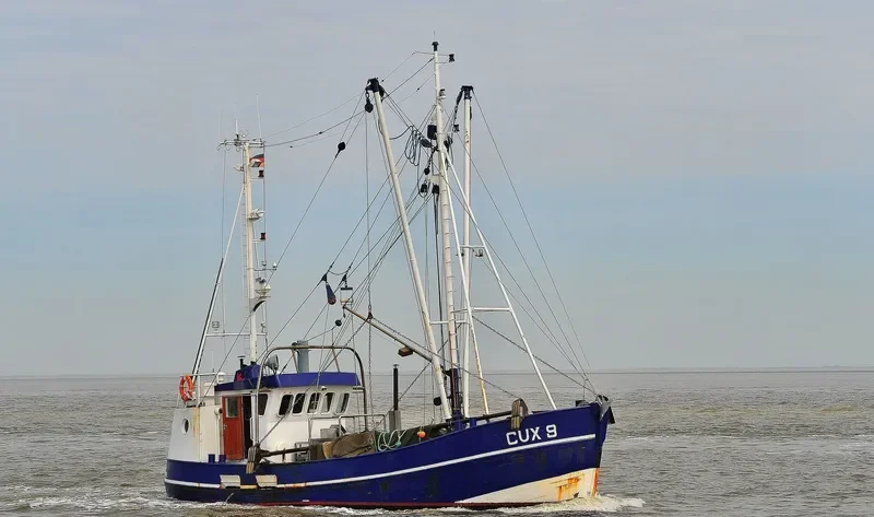 RAMONA General Cargo IMO 6727466 photo 3