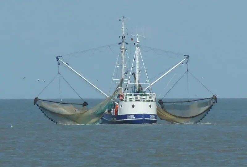 RAMONA General Cargo IMO 6727466 photo 5