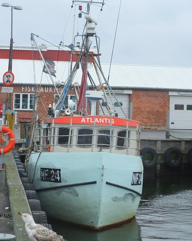 ATLANTIS General Cargo IMO 6727739 photo 2