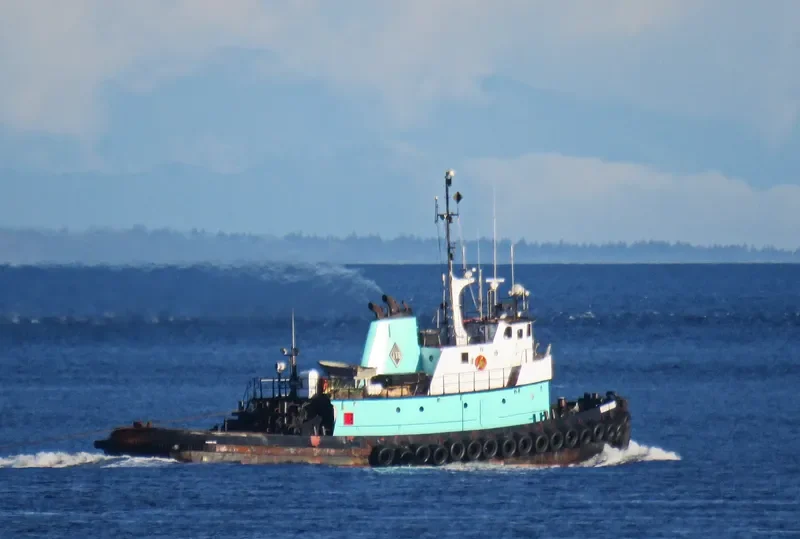 ISLAND SCOUT General Cargo IMO 6728018 photo 3