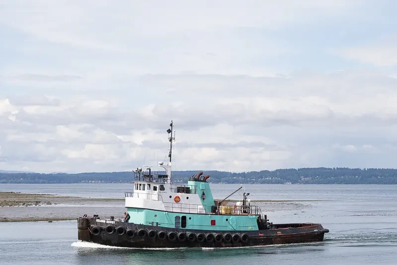 ISLAND SCOUT General Cargo IMO 6728018 photo 5
