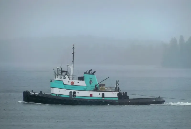 ISLAND SCOUT General Cargo IMO 6728018 photo 10