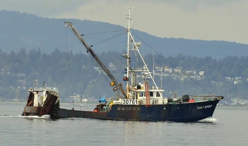 QUINBY ALLIE General Cargo IMO 6728109 photo 3