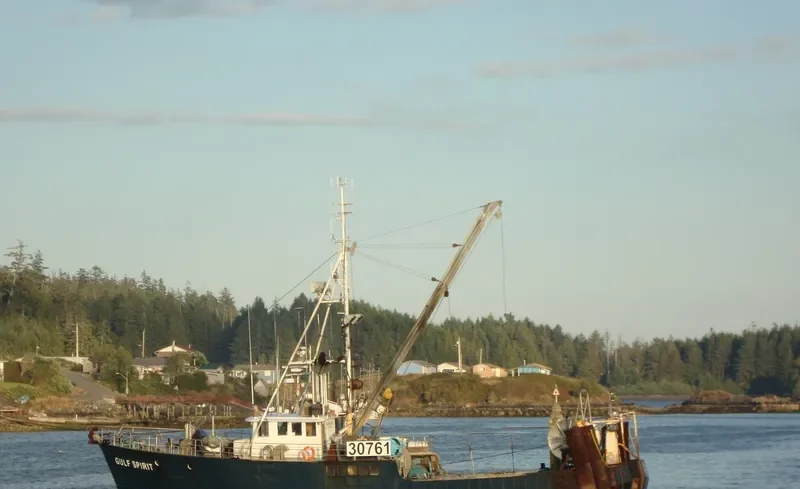 QUINBY ALLIE General Cargo IMO 6728109 photo 4