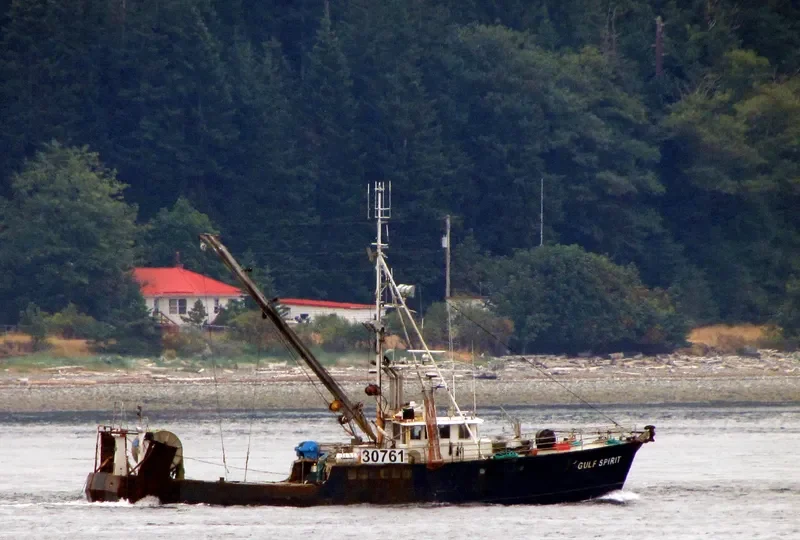 QUINBY ALLIE General Cargo IMO 6728109 photo 5