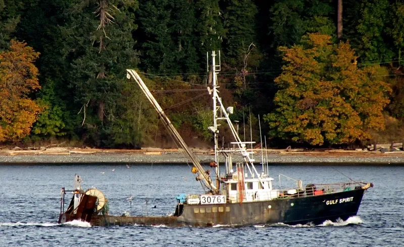 QUINBY ALLIE General Cargo IMO 6728109 photo 6