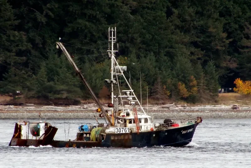 QUINBY ALLIE General Cargo IMO 6728109 photo 7