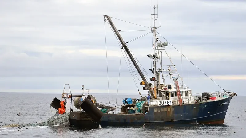QUINBY ALLIE General Cargo IMO 6728109 photo 8