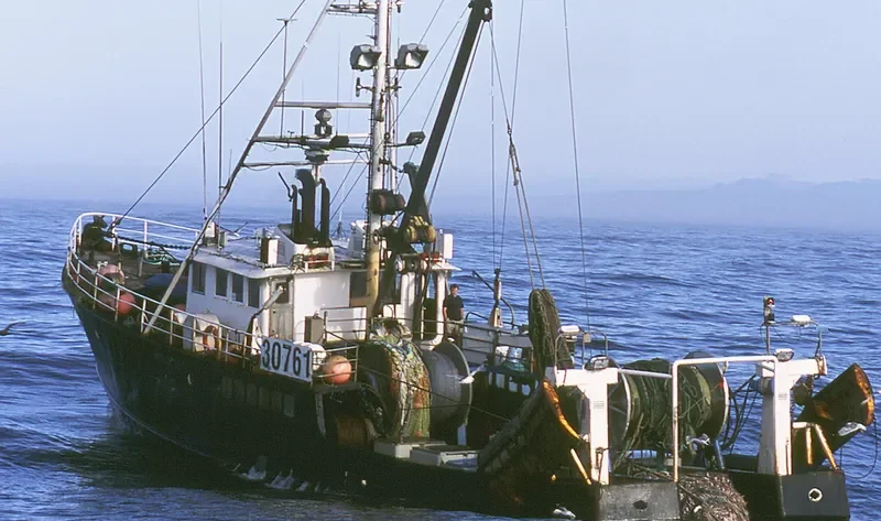 QUINBY ALLIE General Cargo IMO 6728109 photo 9