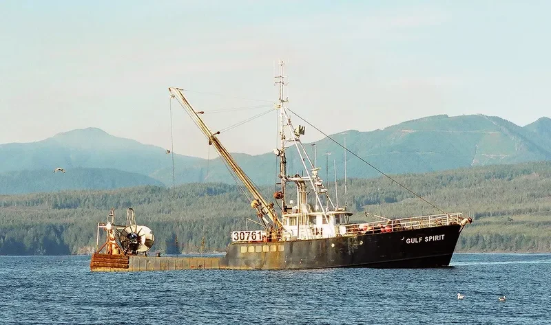QUINBY ALLIE General Cargo IMO 6728109 photo 10
