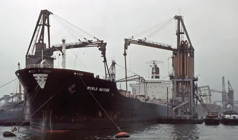 WORLD NATURE Bulk Carrier IMO 6728654