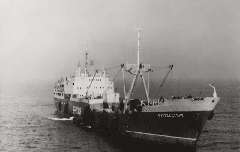 BUREVESTNIK General Cargo IMO 6800189 photo 2