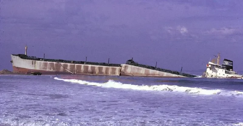 SYGNA Bulk Carrier IMO 6800593