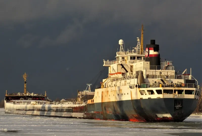 TIM S.DOOL Bulk Carrier IMO 6800919 photo 4