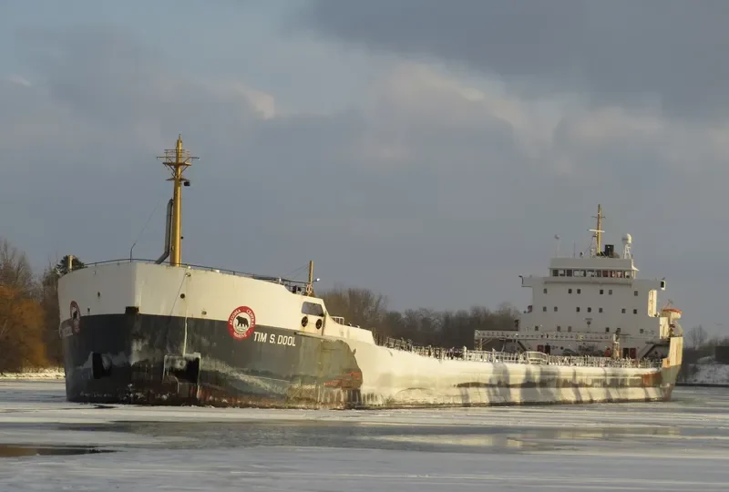 TIM S.DOOL Bulk Carrier IMO 6800919 photo 5