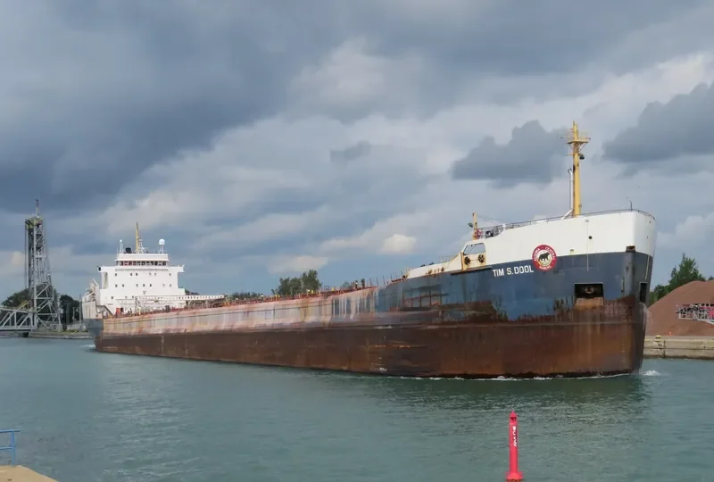 TIM S.DOOL Bulk Carrier IMO 6800919 photo 8