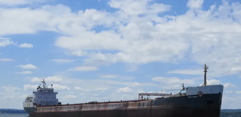 TIM S.DOOL Bulk Carrier IMO 6800919 photo 10