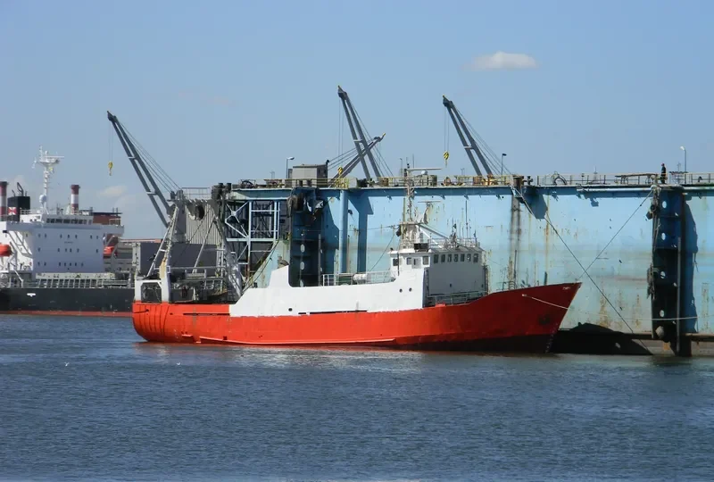 ZAANDAM General Cargo IMO 6801860