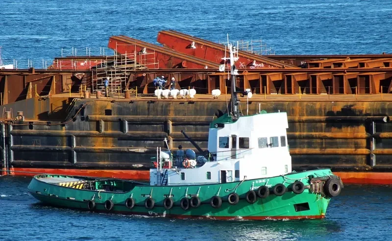 RESISTENTE General Cargo IMO 6803404 photo 4