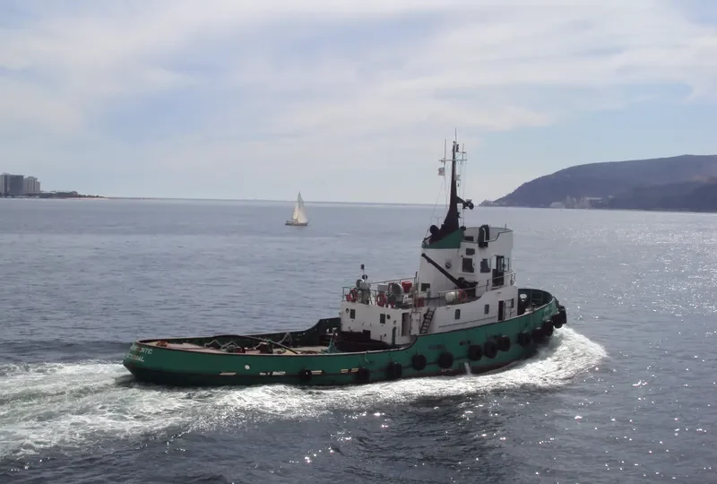 RESISTENTE General Cargo IMO 6803404 photo 8