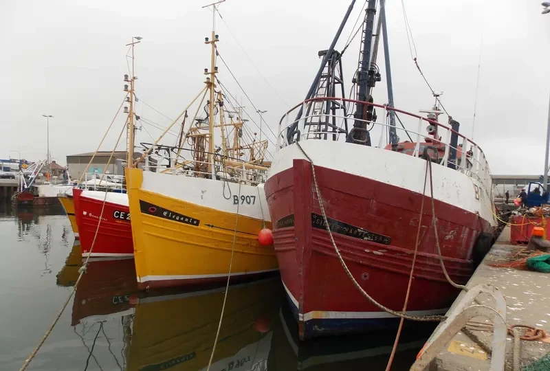SILVER HARVESTER General Cargo IMO 6804056