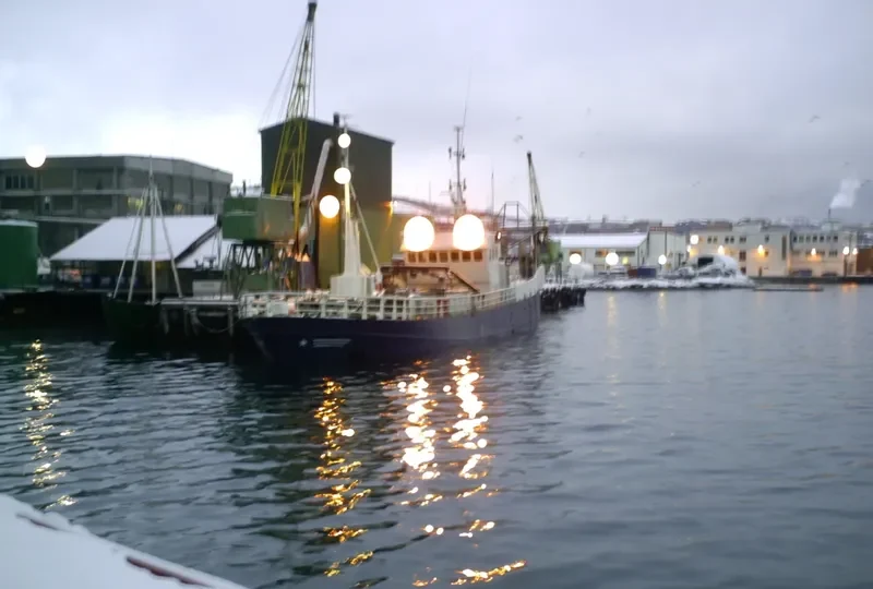 VAEROYTRANS General Cargo IMO 6804317 photo 7