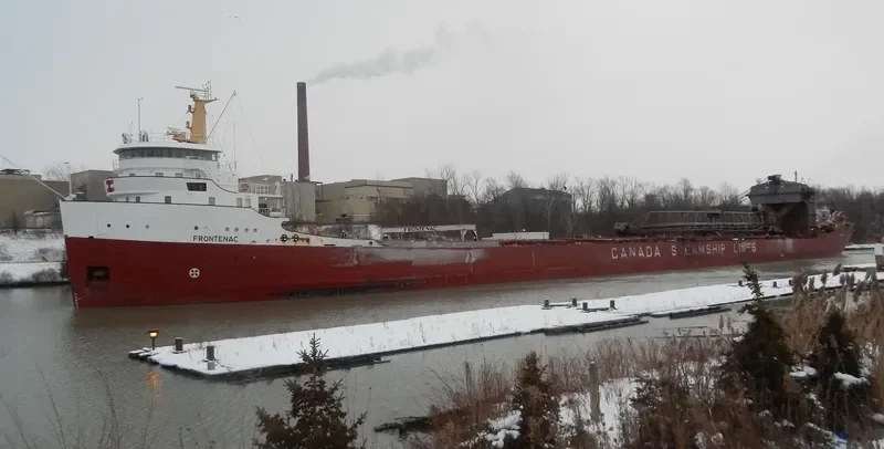 FRONTENAC Bulk Carrier IMO 6804848 photo 3