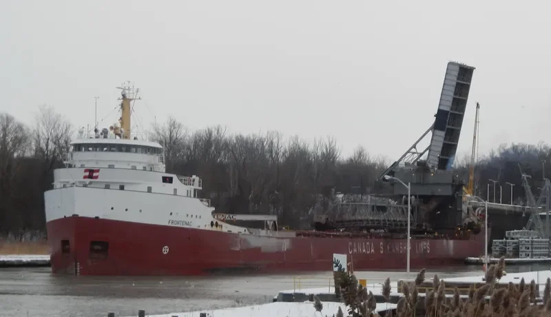 FRONTENAC Bulk Carrier IMO 6804848 photo 4